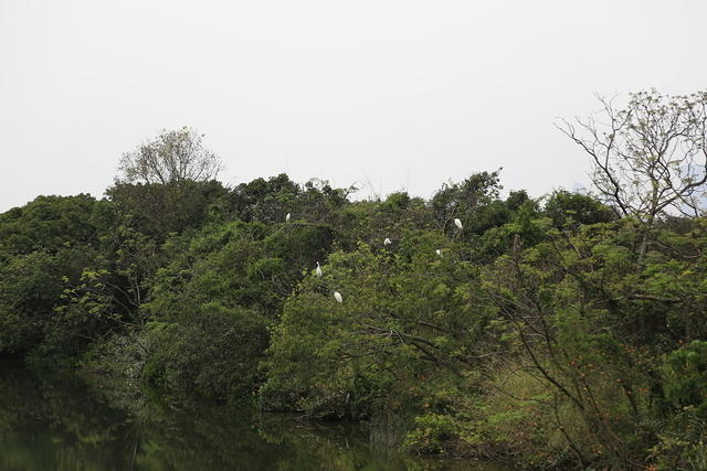 1X5A2301