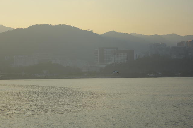 DSC 0089
