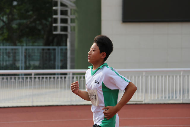 IMG 7582