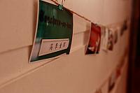 IMG 9751