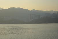 DSC 0089