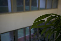 IMG 4397
