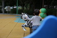 IMG 5307