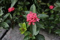 IMG 5759