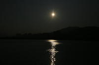 IMG 5782