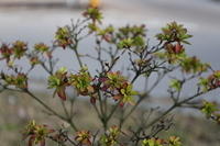 IMG 5845