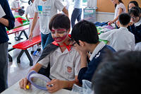 DSC05527