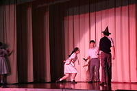 IMG 4734