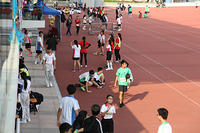 IMG 7204