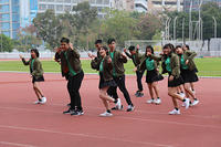 IMG 8286