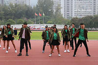 IMG 8287