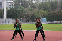 IMG 8290