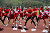 IMG 8478