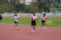 IMG 6914