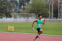 IMG 7006
