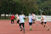 IMG 7795
