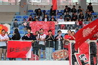 IMG 6753