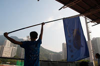 DSC 0264