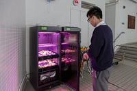 IMG 8815