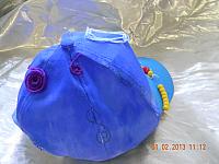 DSCN8629