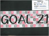 20131Dgoal21banner