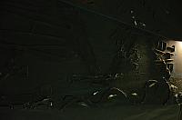 DSC 1953